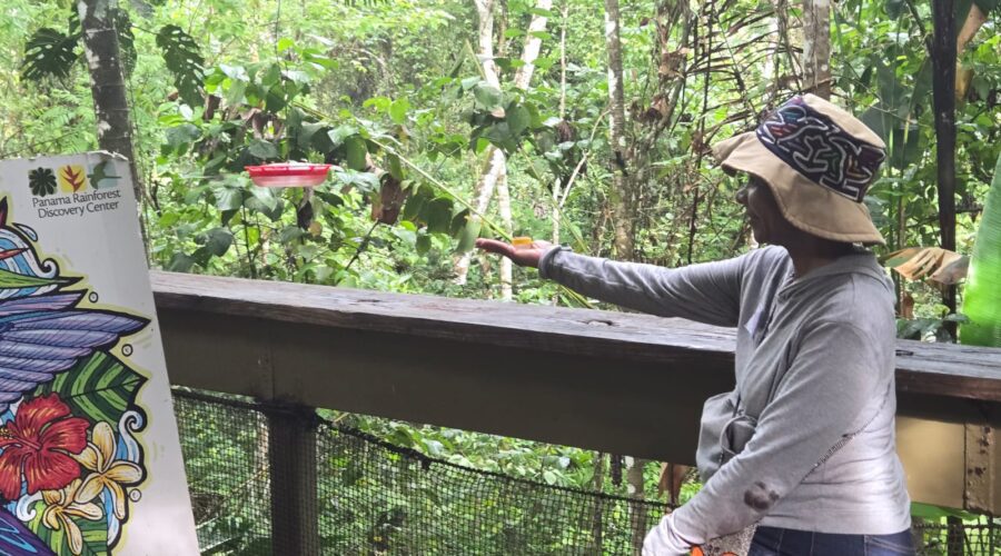 Por encima de los árboles: una lección de vida entre centenares de aves